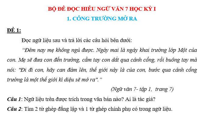 BỘ ĐỀ ĐỌC HIỂU NGỮ VĂN 7 HỌC KỲ I