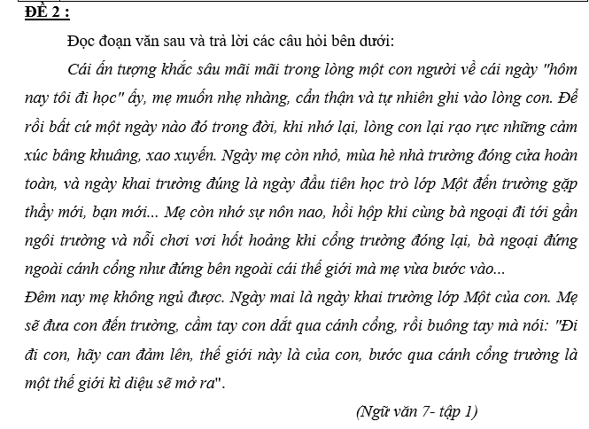 BỘ ĐỀ ĐỌC HIỂU NGỮ VĂN 7 HỌC KỲ I