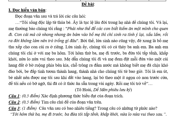 KIỂM TRA GIỮA HỌC KỲ I Môn: Ngữ văn 6,7,8,9