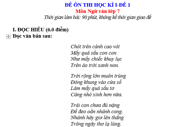 ĐỀ ÔN THI HỌC KÌ I-ĐỀ 1 Môn Ngữ văn lớp 7 bai van lop 7