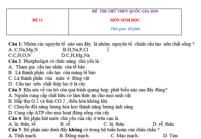 #cácdạngbàitậpsinh12, #cácdạngbàitậpsinhhọc12theochuyênde, #dethisinhhoclop12, #bồidưỡnghsgsinh12, #bàitậpsinhhọc12, #thithptqg, #bồidưỡnghọcsinhgiỏisinh12pdf, #congthucsinhhoc12, #đềthihsg12mônsinh, #DETHISINHHOCLOP 12, #sinhhocjlop12,