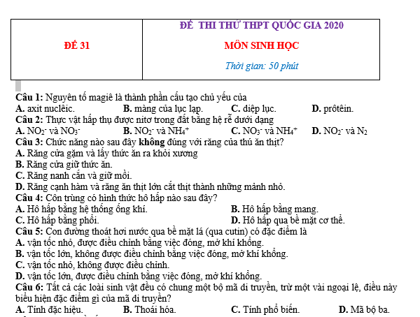 #cácdạngbàitậpsinh12, #cácdạngbàitậpsinhhọc12theochuyênde, #dethisinhhoclop12, #bồidưỡnghsgsinh12, #bàitậpsinhhọc12, #thithptqg, #bồidưỡnghọcsinhgiỏisinh12pdf, #congthucsinhhoc12, #đềthihsg12mônsinh, #DETHISINHHOCLOP 12, #sinhhocjlop12,