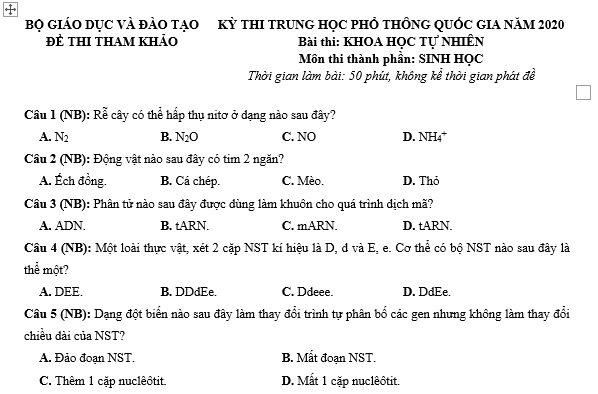 #cácdạngbàitậpsinh12, #cácdạngbàitậpsinhhọc12theochuyênde, #dethisinhhoclop12, #bồidưỡnghsgsinh12, #bàitậpsinhhọc12, #thithptqg, #bồidưỡnghọcsinhgiỏisinh12pdf, #congthucsinhhoc12, #đềthihsg12mônsinh, #DETHISINHHOCLOP 12, #sinhhocjlop12,