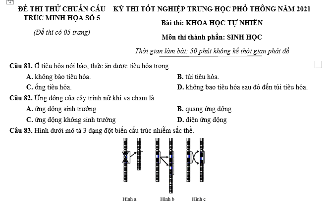 #cácdạngbàitậpsinh12, #cácdạngbàitậpsinhhọc12theochuyênde, #dethisinhhoclop12, #bồidưỡnghsgsinh12, #bàitậpsinhhọc12, #thithptqg, #bồidưỡnghọcsinhgiỏisinh12pdf, #congthucsinhhoc12, #đềthihsg12mônsinh, #DETHISINHHOCLOP 12, #sinhhocjlop12,