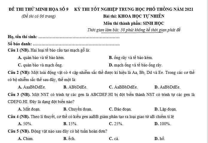 #cácdạngbàitậpsinh12, #cácdạngbàitậpsinhhọc12theochuyênde, #dethisinhhoclop12, #bồidưỡnghsgsinh12, #bàitậpsinhhọc12, #thithptqg, #bồidưỡnghọcsinhgiỏisinh12pdf, #congthucsinhhoc12, #đềthihsg12mônsinh, #DETHISINHHOCLOP 12, #sinhhocjlop12,