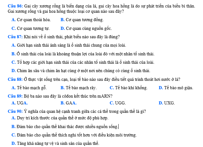 #cácdạngbàitậpsinh12, #cácdạngbàitậpsinhhọc12theochuyênde, #dethisinhhoclop12, #bồidưỡnghsgsinh12, #bàitậpsinhhọc12, #thithptqg, #bồidưỡnghọcsinhgiỏisinh12pdf, #congthucsinhhoc12, #đềthihsg12mônsinh, #DETHISINHHOCLOP 12, #sinhhocjlop12,