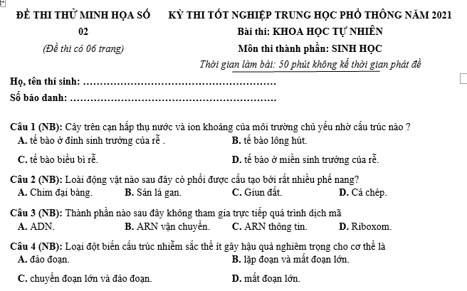 #cácdạngbàitậpsinh12, #cácdạngbàitậpsinhhọc12theochuyênde, #dethisinhhoclop12, #bồidưỡnghsgsinh12, #bàitậpsinhhọc12, #thithptqg, #bồidưỡnghọcsinhgiỏisinh12pdf, #congthucsinhhoc12, #đềthihsg12mônsinh, #DETHISINHHOCLOP 12, #sinhhocjlop12,