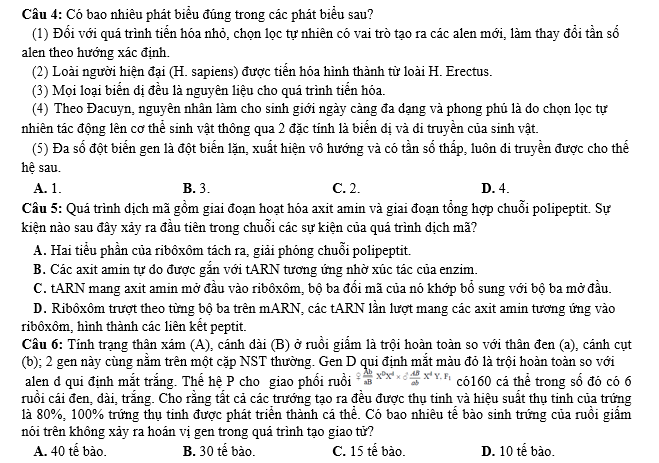 #cácdạngbàitậpsinh12, #cácdạngbàitậpsinhhọc12theochuyênde, #dethisinhhoclop12, #bồidưỡnghsgsinh12, #bàitậpsinhhọc12, #thithptqg, #bồidưỡnghọcsinhgiỏisinh12pdf, #congthucsinhhoc12, #đềthihsg12mônsinh, #DETHISINHHOCLOP 12, #sinhhocjlop12,