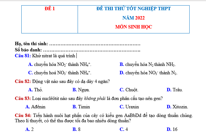 #cácdạngbàitậpsinh12, #cácdạngbàitậpsinhhọc12theochuyênde, #dethisinhhoclop12, #bồidưỡnghsgsinh12, #bàitậpsinhhọc12, #thithptqg, #bồidưỡnghọcsinhgiỏisinh12pdf, #congthucsinhhoc12, #đềthihsg12mônsinh, #DETHISINHHOCLOP 12, #sinhhocjlop12,