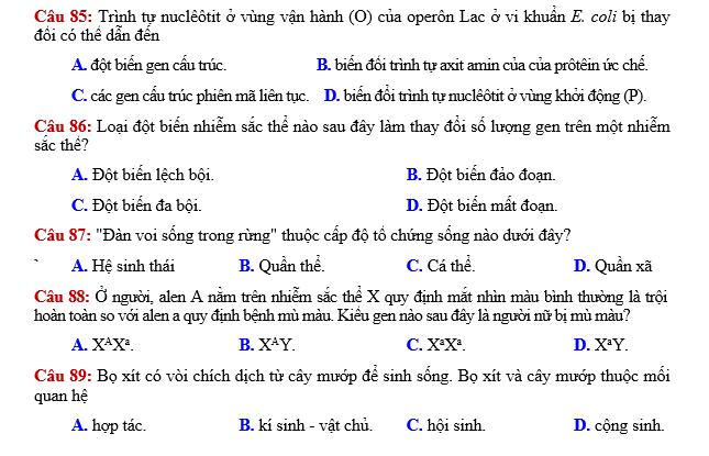 #cácdạngbàitậpsinh12, #cácdạngbàitậpsinhhọc12theochuyênde, #dethisinhhoclop12, #bồidưỡnghsgsinh12, #bàitậpsinhhọc12, #thithptqg, #bồidưỡnghọcsinhgiỏisinh12pdf, #congthucsinhhoc12, #đềthihsg12mônsinh, #DETHISINHHOCLOP 12, #sinhhocjlop12,