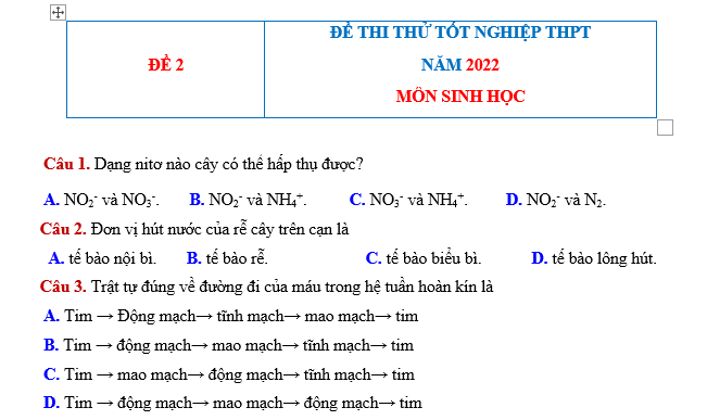 #cácdạngbàitậpsinh12, #cácdạngbàitậpsinhhọc12theochuyênde, #dethisinhhoclop12, #bồidưỡnghsgsinh12, #bàitậpsinhhọc12, #thithptqg, #bồidưỡnghọcsinhgiỏisinh12pdf, #congthucsinhhoc12, #đềthihsg12mônsinh, #DETHISINHHOCLOP 12, #sinhhocjlop12,