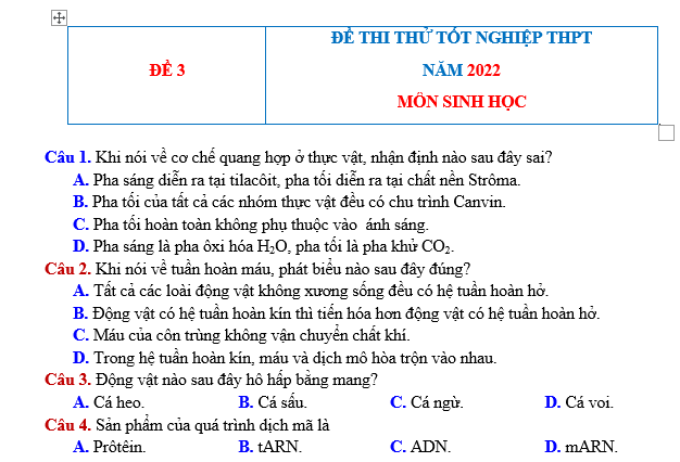 #cácdạngbàitậpsinh12, #cácdạngbàitậpsinhhọc12theochuyênde, #dethisinhhoclop12, #bồidưỡnghsgsinh12, #bàitậpsinhhọc12, #thithptqg, #bồidưỡnghọcsinhgiỏisinh12pdf, #congthucsinhhoc12, #đềthihsg12mônsinh, #DETHISINHHOCLOP 12, #sinhhocjlop12,