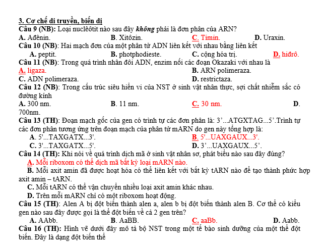 #cácdạngbàitậpsinh12, #cácdạngbàitậpsinhhọc12theochuyênde, #dethisinhhoclop12, #bồidưỡnghsgsinh12, #bàitậpsinhhọc12, #thithptqg, #bồidưỡnghọcsinhgiỏisinh12pdf, #congthucsinhhoc12, #đềthihsg12mônsinh, #DETHISINHHOCLOP 12, #sinhhocjlop12,