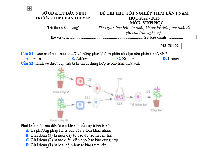 #cácdạngbàitậpsinh12, #cácdạngbàitậpsinhhọc12theochuyênde, #dethisinhhoclop12, #bồidưỡnghsgsinh12, #bàitậpsinhhọc12, #thithptqg, #bồidưỡnghọcsinhgiỏisinh12pdf, #congthucsinhhoc12, #đềthihsg12mônsinh, #DETHISINHHOCLOP 12, #sinhhocjlop12,