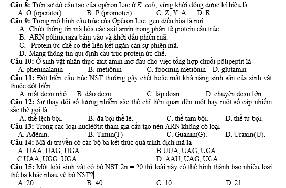 #cácdạngbàitậpsinh12, #cácdạngbàitậpsinhhọc12theochuyênde, #dethisinhhoclop12, #bồidưỡnghsgsinh12, #bàitậpsinhhọc12, #thithptqg, #bồidưỡnghọcsinhgiỏisinh12pdf, #congthucsinhhoc12, #đềthihsg12mônsinh, #DETHISINHHOCLOP 12, #sinhhocjlop12,