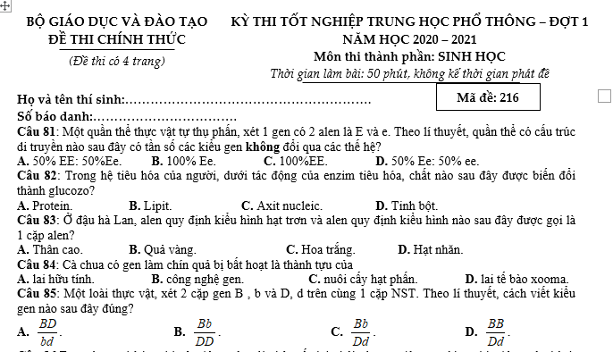 #cácdạngbàitậpsinh12, #cácdạngbàitậpsinhhọc12theochuyênde, #dethisinhhoclop12, #bồidưỡnghsgsinh12, #bàitậpsinhhọc12, #thithptqg, #bồidưỡnghọcsinhgiỏisinh12pdf, #congthucsinhhoc12, #đềthihsg12mônsinh, #DETHISINHHOCLOP 12, #sinhhocjlop12,