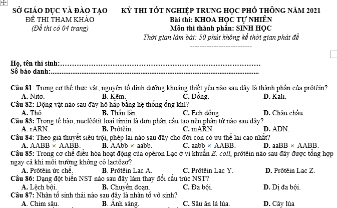 #cácdạngbàitậpsinh12, #cácdạngbàitậpsinhhọc12theochuyênde, #dethisinhhoclop12, #bồidưỡnghsgsinh12, #bàitậpsinhhọc12, #thithptqg, #bồidưỡnghọcsinhgiỏisinh12pdf, #congthucsinhhoc12, #đềthihsg12mônsinh, #DETHISINHHOCLOP 12, #sinhhocjlop12,