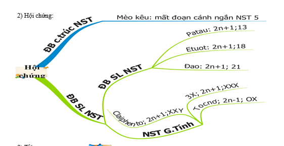 #cácdạngbàitậpsinh12, #cácdạngbàitậpsinhhọc12theochuyênde, #dethisinhhoclop12, #bồidưỡnghsgsinh12, #bàitậpsinhhọc12, #thithptqg, #bồidưỡnghọcsinhgiỏisinh12pdf, #congthucsinhhoc12, #đềthihsg12mônsinh, #DETHISINHHOCLOP 12, #sinhhocjlop12,