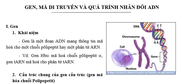 #cácdạngbàitậpsinh12, #cácdạngbàitậpsinhhọc12theochuyênde, #dethisinhhoclop12, #bồidưỡnghsgsinh12, #bàitậpsinhhọc12, #thithptqg, #bồidưỡnghọcsinhgiỏisinh12pdf, #congthucsinhhoc12, #đềthihsg12mônsinh, #DETHISINHHOCLOP 12, #sinhhocjlop12,