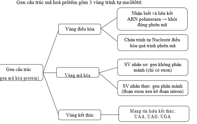 #cácdạngbàitậpsinh12, #cácdạngbàitậpsinhhọc12theochuyênde, #dethisinhhoclop12, #bồidưỡnghsgsinh12, #bàitậpsinhhọc12, #thithptqg, #bồidưỡnghọcsinhgiỏisinh12pdf, #congthucsinhhoc12, #đềthihsg12mônsinh, #DETHISINHHOCLOP 12, #sinhhocjlop12,