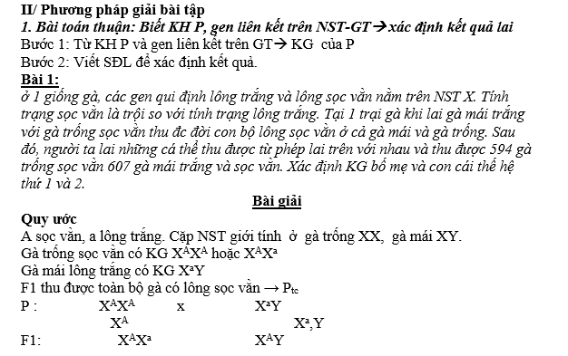 #cácdạngbàitậpsinh12, #cácdạngbàitậpsinhhọc12theochuyênde, #dethisinhhoclop12, #bồidưỡnghsgsinh12, #bàitậpsinhhọc12, #thithptqg, #bồidưỡnghọcsinhgiỏisinh12pdf, #congthucsinhhoc12, #đềthihsg12mônsinh, #DETHISINHHOCLOP 12, #sinhhocjlop12,