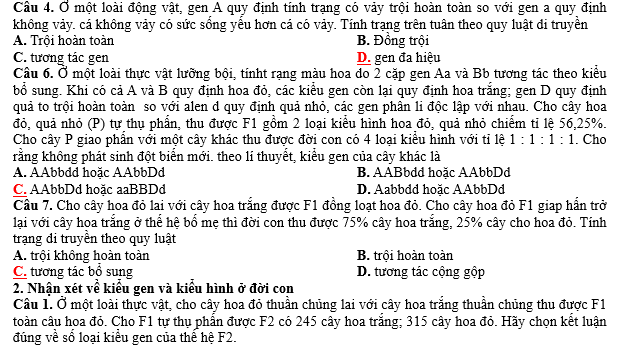 #cácdạngbàitậpsinh12, #cácdạngbàitậpsinhhọc12theochuyênde, #dethisinhhoclop12, #bồidưỡnghsgsinh12, #bàitậpsinhhọc12, #thithptqg, #bồidưỡnghọcsinhgiỏisinh12pdf, #congthucsinhhoc12, #đềthihsg12mônsinh, #DETHISINHHOCLOP 12, #sinhhocjlop12,