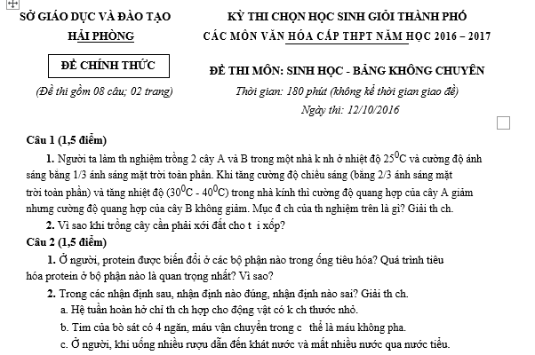 #cácdạngbàitậpsinh12, #cácdạngbàitậpsinhhọc12theochuyênde, #dethisinhhoclop12, #bồidưỡnghsgsinh12, #bàitậpsinhhọc12, #thithptqg, #bồidưỡnghọcsinhgiỏisinh12pdf, #congthucsinhhoc12, #đềthihsg12mônsinh, #DETHISINHHOCLOP 12, #sinhhocjlop12,