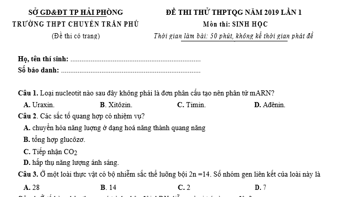 #cácdạngbàitậpsinh12, #cácdạngbàitậpsinhhọc12theochuyênde, #dethisinhhoclop12, #bồidưỡnghsgsinh12, #bàitậpsinhhọc12, #thithptqg, #bồidưỡnghọcsinhgiỏisinh12pdf, #congthucsinhhoc12, #đềthihsg12mônsinh, #DETHISINHHOCLOP 12, #sinhhocjlop12,