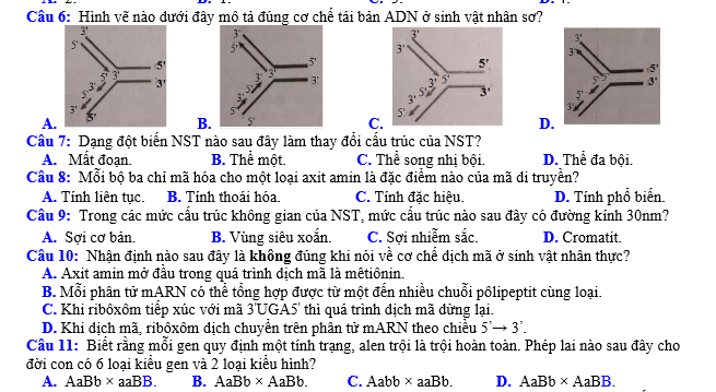 #cácdạngbàitậpsinh12, #cácdạngbàitậpsinhhọc12theochuyênde, #dethisinhhoclop12, #bồidưỡnghsgsinh12, #bàitậpsinhhọc12, #thithptqg, #bồidưỡnghọcsinhgiỏisinh12pdf, #congthucsinhhoc12, #đềthihsg12mônsinh, #DETHISINHHOCLOP 12, #sinhhocjlop12,