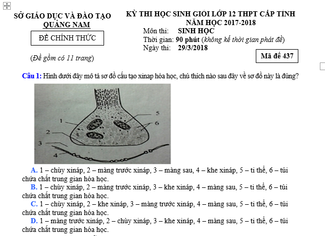 #cácdạngbàitậpsinh12, #cácdạngbàitậpsinhhọc12theochuyênde, #dethisinhhoclop12, #bồidưỡnghsgsinh12, #bàitậpsinhhọc12, #thithptqg, #bồidưỡnghọcsinhgiỏisinh12pdf, #congthucsinhhoc12, #đềthihsg12mônsinh, #DETHISINHHOCLOP 12, #sinhhocjlop12,