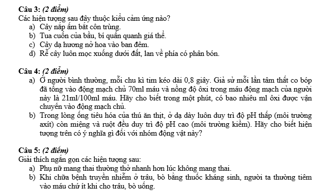 #cácdạngbàitậpsinh12, #cácdạngbàitậpsinhhọc12theochuyênde, #dethisinhhoclop12, #bồidưỡnghsgsinh12, #bàitậpsinhhọc12, #thithptqg, #bồidưỡnghọcsinhgiỏisinh12pdf, #congthucsinhhoc12, #đềthihsg12mônsinh, #DETHISINHHOCLOP 12, #sinhhocjlop12,