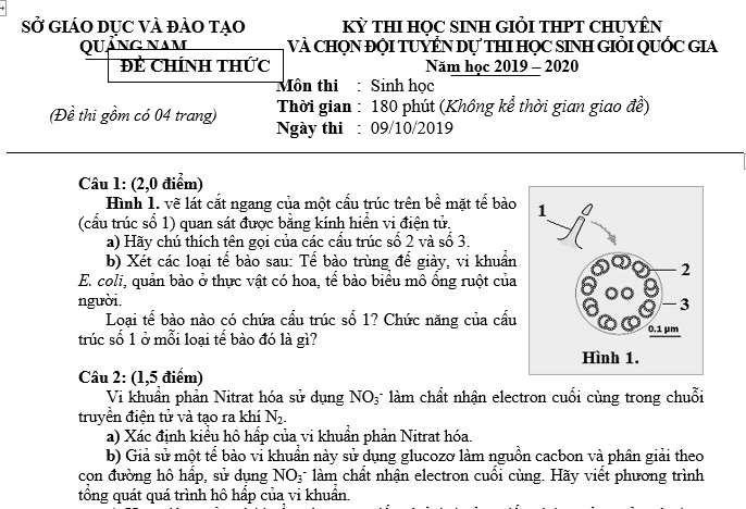 #cácdạngbàitậpsinh12, #cácdạngbàitậpsinhhọc12theochuyênde, #dethisinhhoclop12, #bồidưỡnghsgsinh12, #bàitậpsinhhọc12, #thithptqg, #bồidưỡnghọcsinhgiỏisinh12pdf, #congthucsinhhoc12, #đềthihsg12mônsinh, #DETHISINHHOCLOP 12, #sinhhocjlop12,