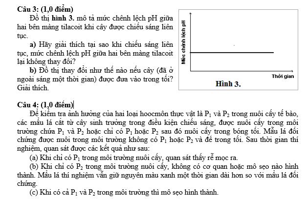 #cácdạngbàitậpsinh12, #cácdạngbàitậpsinhhọc12theochuyênde, #dethisinhhoclop12, #bồidưỡnghsgsinh12, #bàitậpsinhhọc12, #thithptqg, #bồidưỡnghọcsinhgiỏisinh12pdf, #congthucsinhhoc12, #đềthihsg12mônsinh, #DETHISINHHOCLOP 12, #sinhhocjlop12,