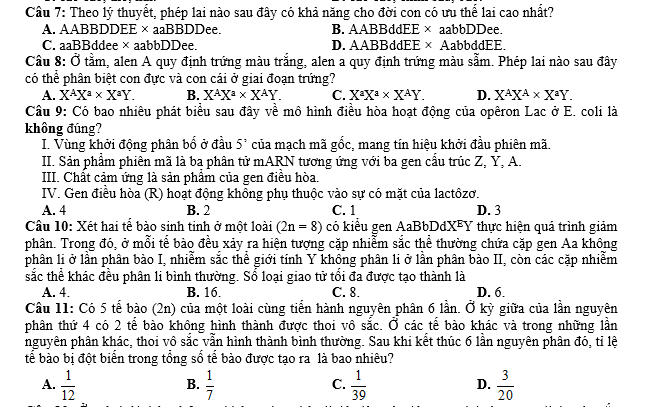 #cácdạngbàitậpsinh12, #cácdạngbàitậpsinhhọc12theochuyênde, #dethisinhhoclop12, #bồidưỡnghsgsinh12, #bàitậpsinhhọc12, #thithptqg, #bồidưỡnghọcsinhgiỏisinh12pdf, #congthucsinhhoc12, #đềthihsg12mônsinh, #DETHISINHHOCLOP 12, #sinhhocjlop12,