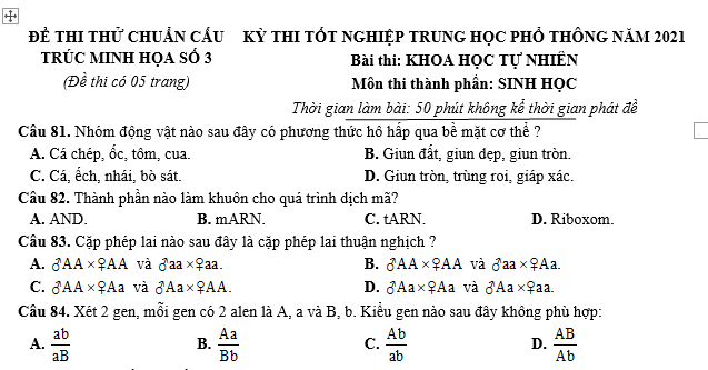 #cácdạngbàitậpsinh12, #cácdạngbàitậpsinhhọc12theochuyênde, #dethisinhhoclop12, #bồidưỡnghsgsinh12, #bàitậpsinhhọc12, #thithptqg, #bồidưỡnghọcsinhgiỏisinh12pdf, #congthucsinhhoc12, #đềthihsg12mônsinh, #DETHISINHHOCLOP 12, #sinhhocjlop12,