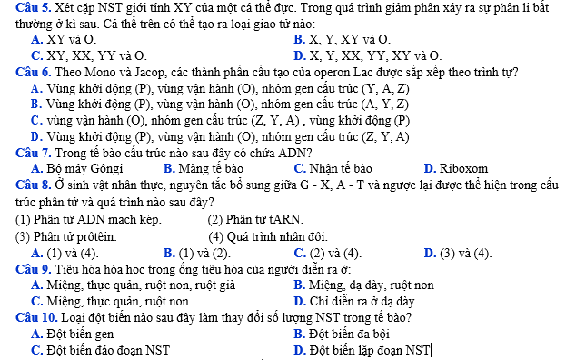 #cácdạngbàitậpsinh12, #cácdạngbàitậpsinhhọc12theochuyênde, #dethisinhhoclop12, #bồidưỡnghsgsinh12, #bàitậpsinhhọc12, #thithptqg, #bồidưỡnghọcsinhgiỏisinh12pdf, #congthucsinhhoc12, #đềthihsg12mônsinh, #DETHISINHHOCLOP 12, #sinhhocjlop12,