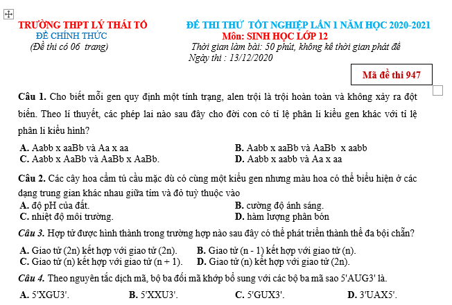 #cácdạngbàitậpsinh12, #cácdạngbàitậpsinhhọc12theochuyênde, #dethisinhhoclop12, #bồidưỡnghsgsinh12, #bàitậpsinhhọc12, #thithptqg, #bồidưỡnghọcsinhgiỏisinh12pdf, #congthucsinhhoc12, #đềthihsg12mônsinh, #DETHISINHHOCLOP 12, #sinhhocjlop12,