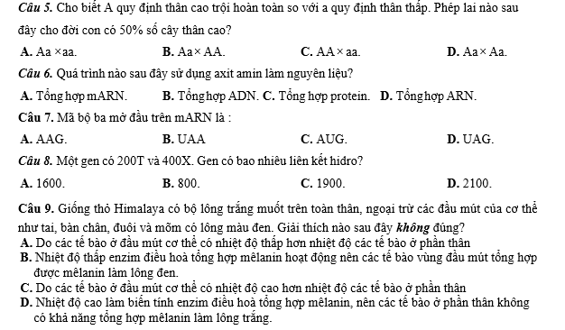 #cácdạngbàitậpsinh12, #cácdạngbàitậpsinhhọc12theochuyênde, #dethisinhhoclop12, #bồidưỡnghsgsinh12, #bàitậpsinhhọc12, #thithptqg, #bồidưỡnghọcsinhgiỏisinh12pdf, #congthucsinhhoc12, #đềthihsg12mônsinh, #DETHISINHHOCLOP 12, #sinhhocjlop12,