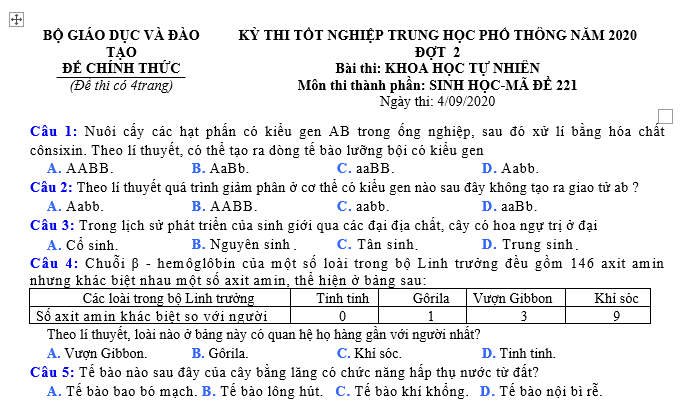 #cácdạngbàitậpsinh12, #cácdạngbàitậpsinhhọc12theochuyênde, #dethisinhhoclop12, #bồidưỡnghsgsinh12, #bàitậpsinhhọc12, #thithptqg, #bồidưỡnghọcsinhgiỏisinh12pdf, #congthucsinhhoc12, #đềthihsg12mônsinh, #DETHISINHHOCLOP 12, #sinhhocjlop12,