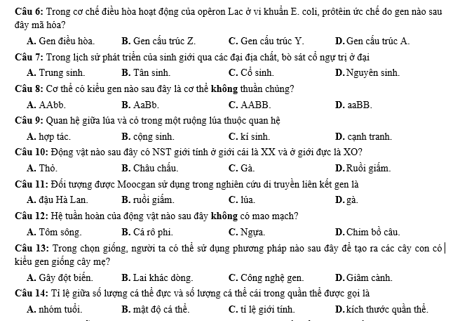 #cácdạngbàitậpsinh12, #cácdạngbàitậpsinhhọc12theochuyênde, #dethisinhhoclop12, #bồidưỡnghsgsinh12, #bàitậpsinhhọc12, #thithptqg, #bồidưỡnghọcsinhgiỏisinh12pdf, #congthucsinhhoc12, #đềthihsg12mônsinh, #DETHISINHHOCLOP 12, #sinhhocjlop12,