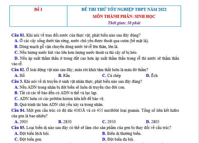 #cácdạngbàitậpsinh12, #cácdạngbàitậpsinhhọc12theochuyênde, #dethisinhhoclop12, #bồidưỡnghsgsinh12, #bàitậpsinhhọc12, #thithptqg, #bồidưỡnghọcsinhgiỏisinh12pdf, #congthucsinhhoc12, #đềthihsg12mônsinh, #DETHISINHHOCLOP 12, #sinhhocjlop12,