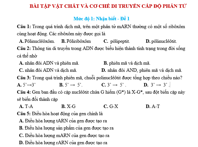 #cácdạngbàitậpsinh12, #cácdạngbàitậpsinhhọc12theochuyênde, #dethisinhhoclop12, #bồidưỡnghsgsinh12, #bàitậpsinhhọc12, #thithptqg, #bồidưỡnghọcsinhgiỏisinh12pdf, #congthucsinhhoc12, #đềthihsg12mônsinh, #DETHISINHHOCLOP 12, #sinhhocjlop12,