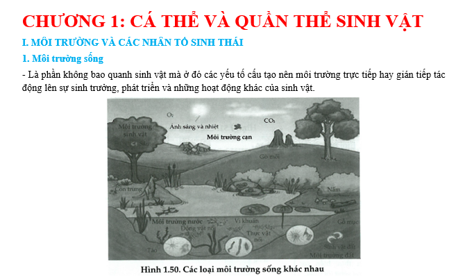 #cácdạngbàitậpsinh12, #cácdạngbàitậpsinhhọc12theochuyênde, #dethisinhhoclop12, #bồidưỡnghsgsinh12, #bàitậpsinhhọc12, #thithptqg, #bồidưỡnghọcsinhgiỏisinh12pdf, #congthucsinhhoc12, #đềthihsg12mônsinh, #DETHISINHHOCLOP 12, #sinhhocjlop12,