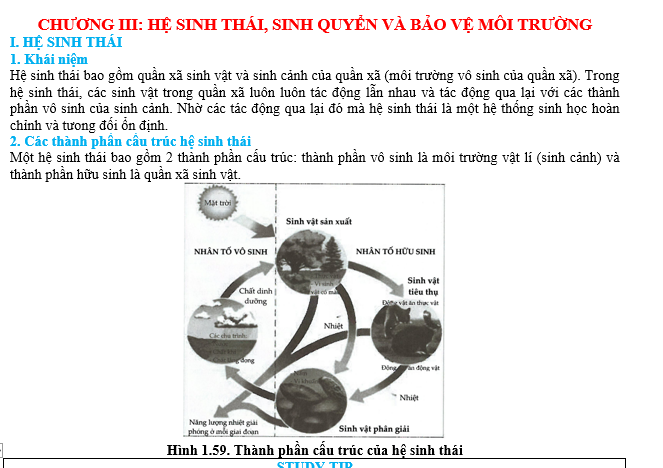 #cácdạngbàitậpsinh12, #cácdạngbàitậpsinhhọc12theochuyênde, #dethisinhhoclop12, #bồidưỡnghsgsinh12, #bàitậpsinhhọc12, #thithptqg, #bồidưỡnghọcsinhgiỏisinh12pdf, #congthucsinhhoc12, #đềthihsg12mônsinh, #DETHISINHHOCLOP 12, #sinhhocjlop12,