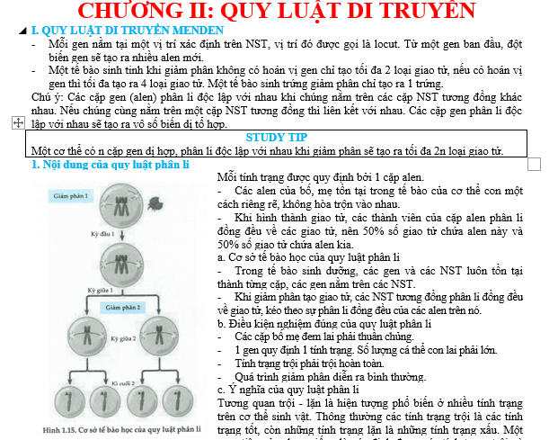 các dạng bài tập sinh 12,de thi sinh hoc lop 12,bồi dưỡng hsg sinh 12,bài tập sinh học 12,thithptqg,đề thi hsg 12 môn sinh,sinh hocj lop 12,