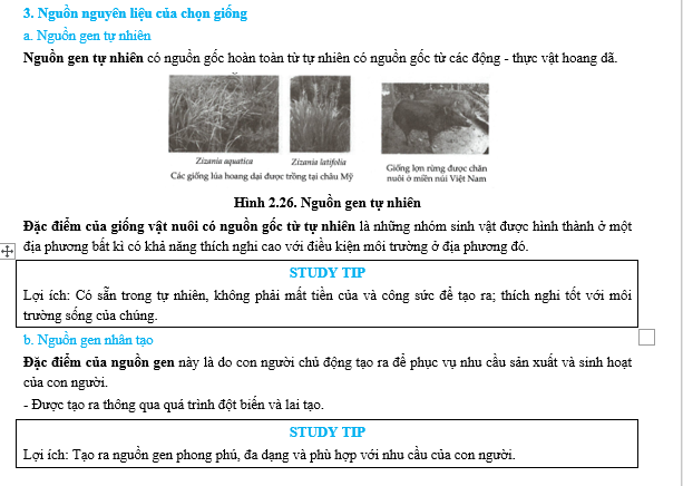 #cácdạngbàitậpsinh12, #cácdạngbàitậpsinhhọc12theochuyênde, #dethisinhhoclop12, #bồidưỡnghsgsinh12, #bàitậpsinhhọc12, #thithptqg, #bồidưỡnghọcsinhgiỏisinh12pdf, #congthucsinhhoc12, #đềthihsg12mônsinh, #DETHISINHHOCLOP 12, #sinhhocjlop12,