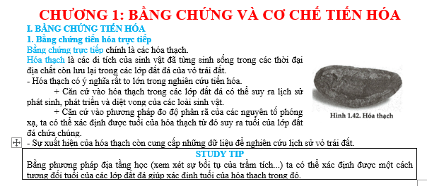 #cácdạngbàitậpsinh12, #cácdạngbàitậpsinhhọc12theochuyênde, #dethisinhhoclop12, #bồidưỡnghsgsinh12, #bàitậpsinhhọc12, #thithptqg, #bồidưỡnghọcsinhgiỏisinh12pdf, #congthucsinhhoc12, #đềthihsg12mônsinh, #DETHISINHHOCLOP 12, #sinhhocjlop12,