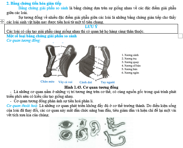 #cácdạngbàitậpsinh12, #cácdạngbàitậpsinhhọc12theochuyênde, #dethisinhhoclop12, #bồidưỡnghsgsinh12, #bàitậpsinhhọc12, #thithptqg, #bồidưỡnghọcsinhgiỏisinh12pdf, #congthucsinhhoc12, #đềthihsg12mônsinh, #DETHISINHHOCLOP 12, #sinhhocjlop12,