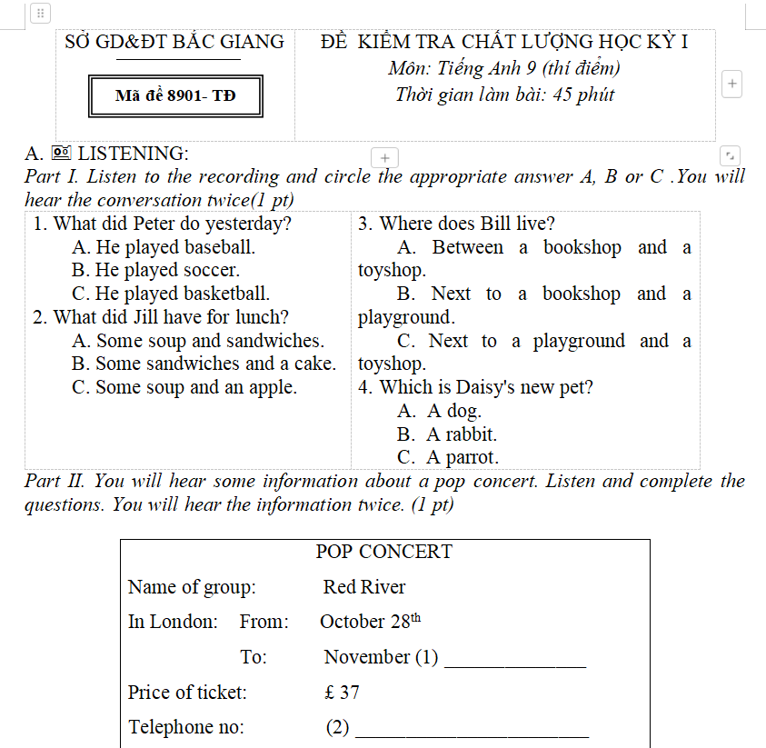 ĐỀ  KIỂM TRA CHẤT LƯỢNG HỌC KỲ I Tiếng Anh