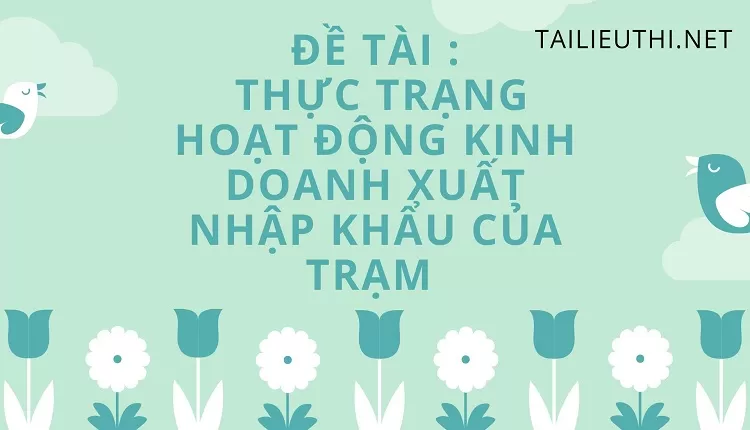 THỰC TRẠNG HOẠT ĐỘNG KINH DOANH XUẤT NHẬP KHẨU CỦA TRẠM